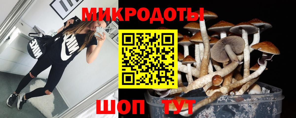 Псилоцибиновые грибы Psilocybe Рославль